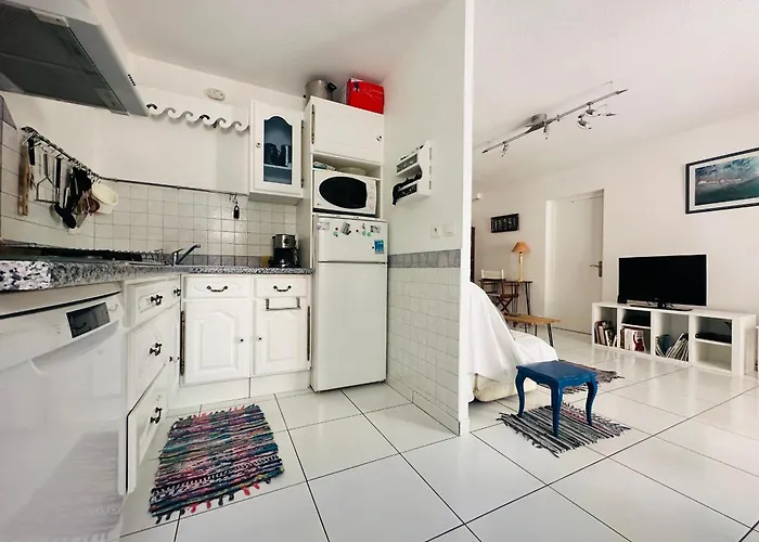 Daire Port-vendres - T2 3* Climatise, Parking, Vue - Fr-1-309-388 *
